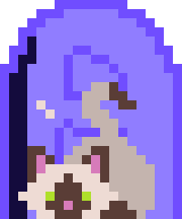 NetCat4E5 CTF Team Logo