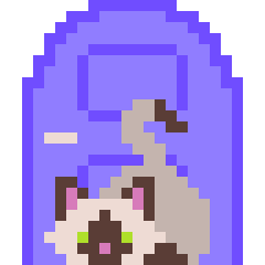 NetCat Logo CTF Team